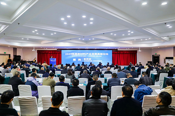頂立科技參加硅基新材料高峰論壇，分享高純石英制備熱工裝備最新技術(shù) (2).jpg